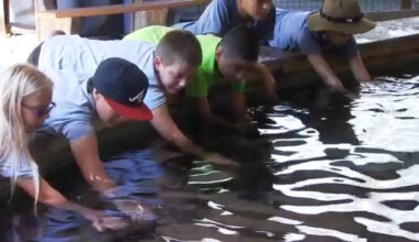 Fresno Chaffee Zoo hosts summer camp focused on wildlife exploration