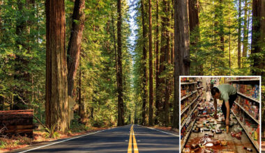 Hidden fault capable of devastating earthquakes uncovered deep in California forest