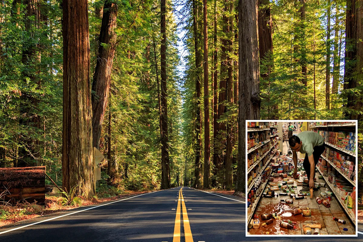 Hidden fault capable of devastating earthquakes uncovered deep in California forest