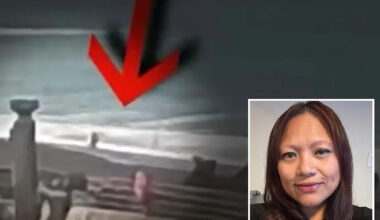 Terrifying video captures moment California woman is sucked into the ocean by sneaker wave in Pacifica