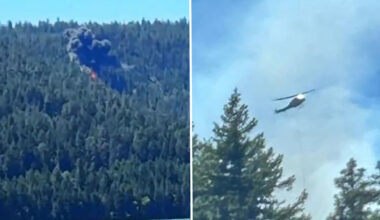 Terrifying moment California fighter jet ‘pops’ then crashes near Mt Rainier sparking wildfire