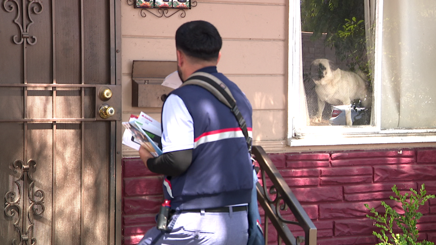 San Diego ranks 8th in the nation for mail carrier dog bites