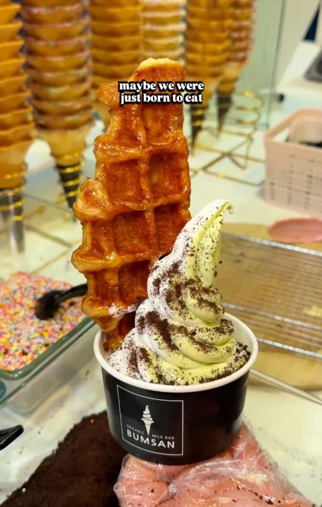 Soft-serve ice cream with chocolate cookie crumbles and a croffle in a black cup. Instagram/@bumsanorganicmilkbar