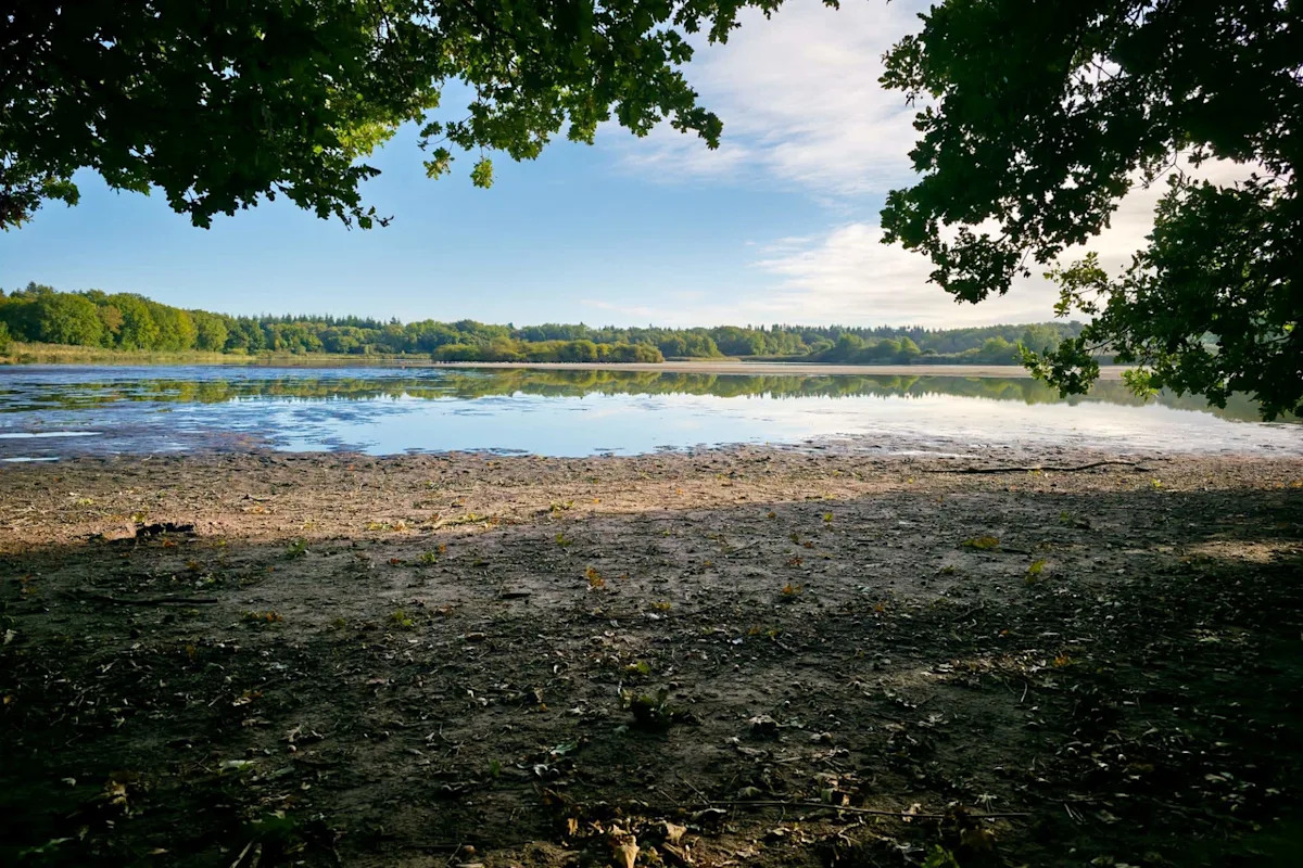 Dead fish, shrinking lakes, and a water war send California HOA to court