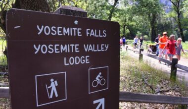 Man who said he’d ‘shoot a cop’ sentenced in Fresno for assaulting Yosemite ranger