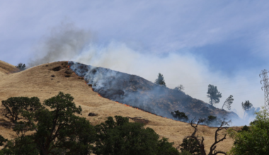 Heat wave, shelter crisis: Top Sacramento stories from June 8