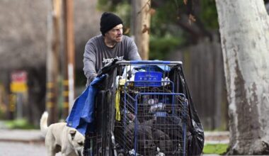 Fresno making ‘great’ progress on homelessness, officials say. But are they?