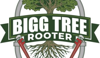 Bigg Tree Rooter and Plumbing Expands San Jose Coverage Into