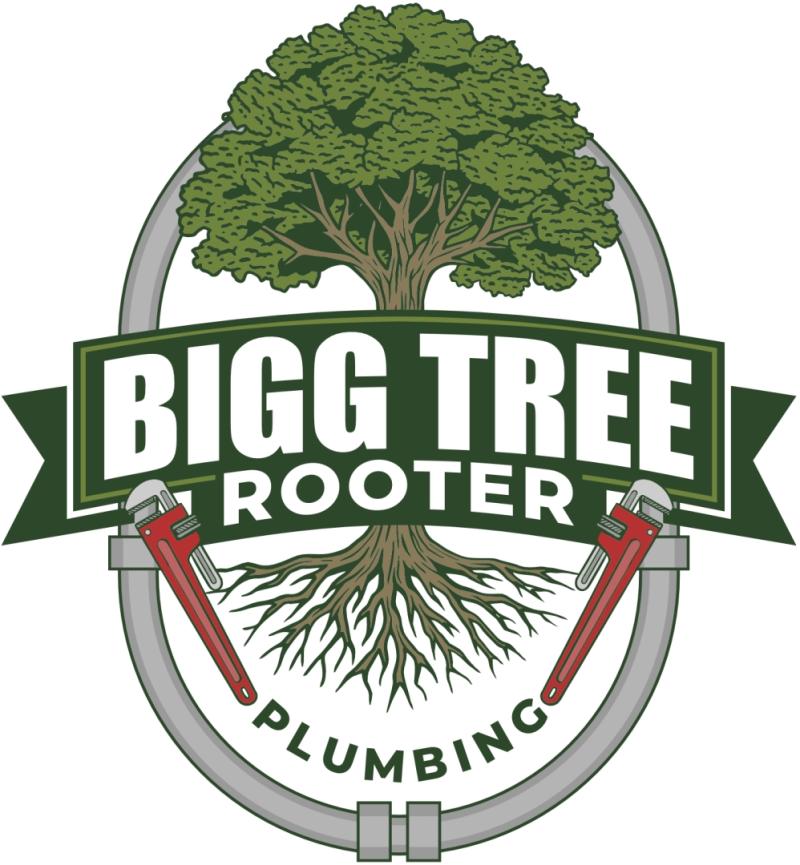 Bigg Tree Rooter and Plumbing Expands San Jose Coverage Into