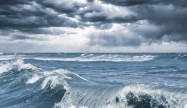 High Surf and Rip Current Danger For Orange County This Week