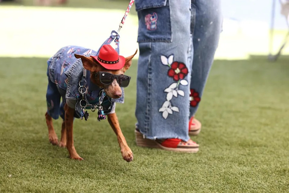 Rusty rocked a denim jacket for the event. Jonathan Alcorn for CA Post
