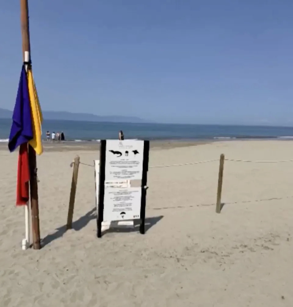 Yetter said signs near the beach warned of jellyfish, stingrays and crocodiles in the water, but her family initially mistook the crocodile symbol for an iguana. NBC
