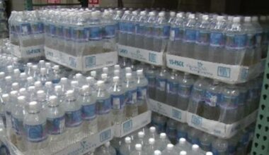 17 states and trade group sue California over plastics packaging law