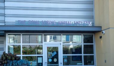 After ‘mass grave’ allegations, Berkeley animal shelter terminates partnership with dog rescue | City