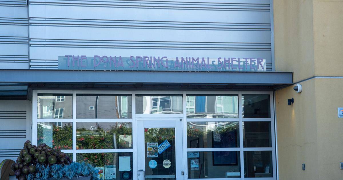 After ‘mass grave’ allegations, Berkeley animal shelter terminates partnership with dog rescue | City
