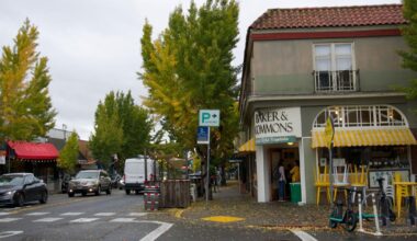 Supported by hundreds, proposal to designate historic district in Elmwood falls short in 5-4 vote | City Government