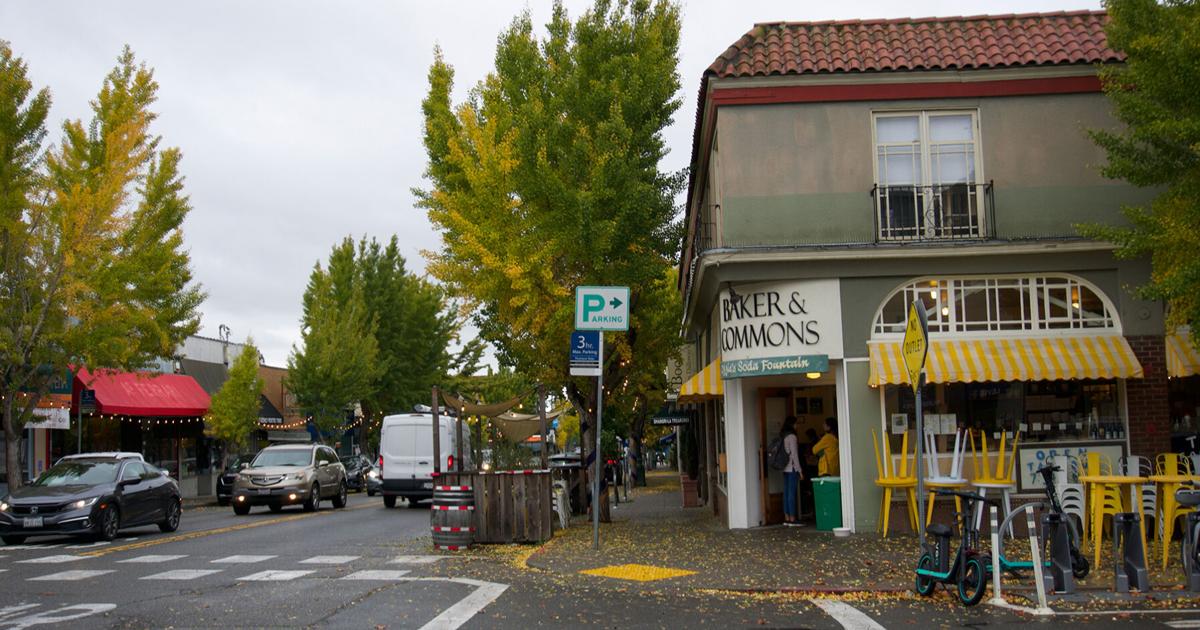 Supported by hundreds, proposal to designate historic district in Elmwood falls short in 5-4 vote | City Government