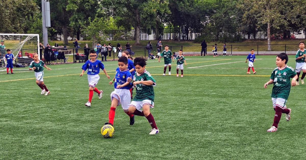 Young athletes and their families celebrated Mundialito 2026 in Los Angeles | Los Angeles