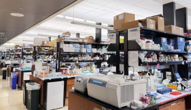 UC Berkeley, UCSF researchers engineer new cancer-destroying technique | Research And Ideas