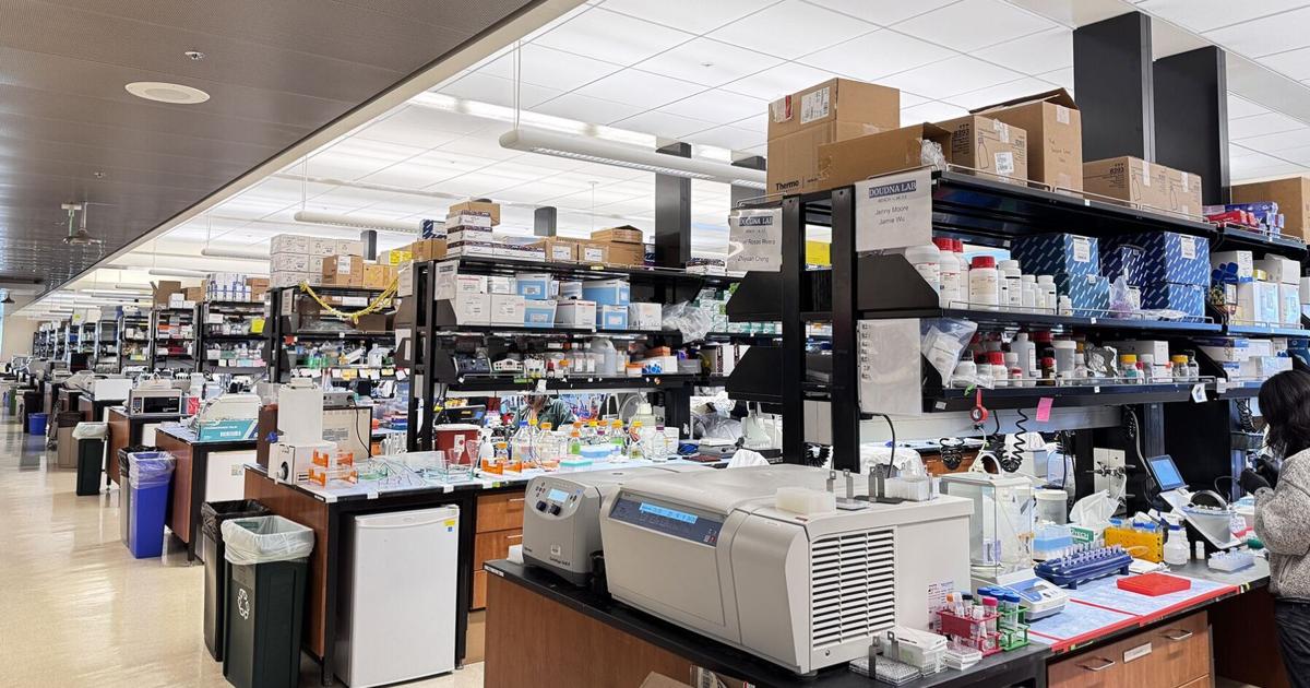 UC Berkeley, UCSF researchers engineer new cancer-destroying technique | Research And Ideas