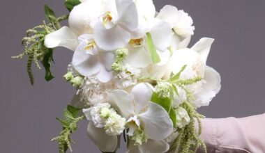 Small Weddings, Big Bouquets: Why San Francisco's Smartest Couples Are Spending Less on the Day and More on What Matters | Test Aplus