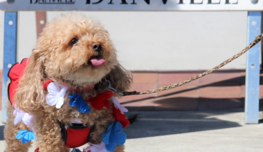 Top Tickets: East Bay Events Happening This Week July 2–8 | Top Tickets