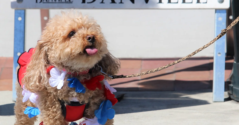 Top Tickets: East Bay Events Happening This Week July 2–8 | Top Tickets