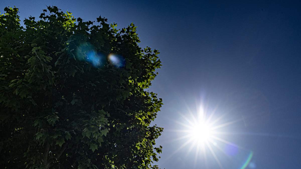 Sun, Sweat & Sizzle In San Diego | Newsradio 600 KOGO