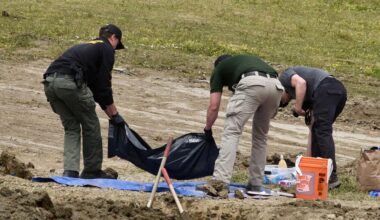 At least 117 dead dogs found in 'horrific scene' at California 'no-kill' shelter | News