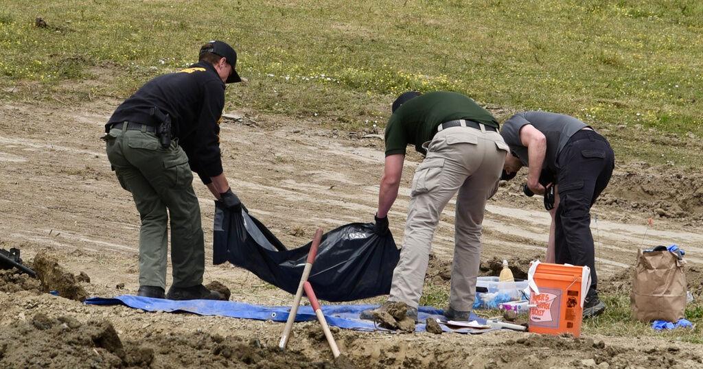 At least 117 dead dogs found in 'horrific scene' at California 'no-kill' shelter | News