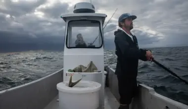 Many California fishermen are nearing retirement. Can the industry save its graying fleet? | Business