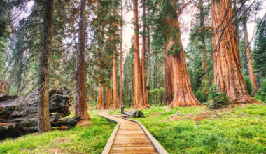 9 State And National Parks Just A Day Trip Away From Bakersfield, California