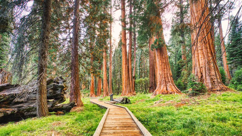 9 State And National Parks Just A Day Trip Away From Bakersfield, California