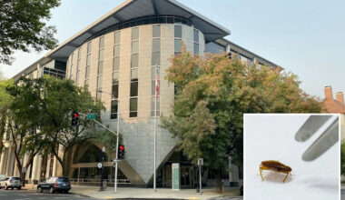 Bedbug infestation forces urgent evacuation of California Department of Education headquarters