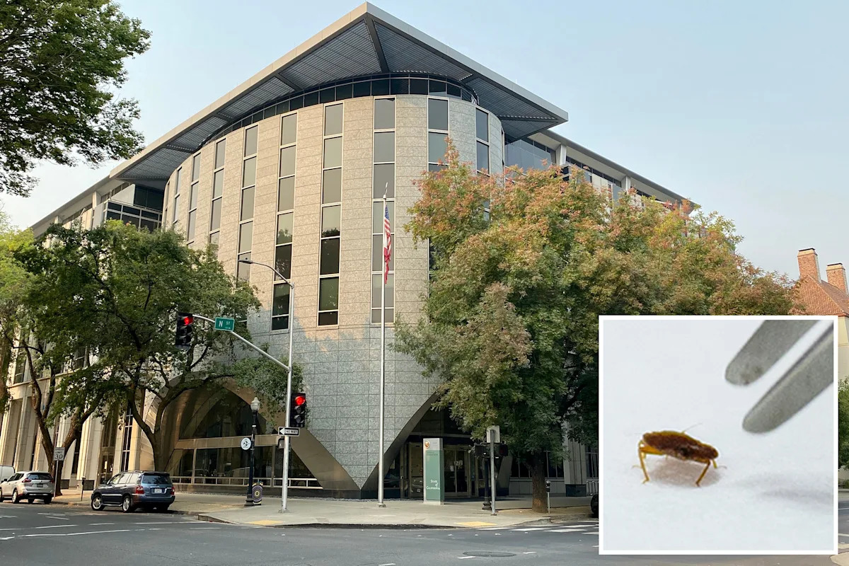 Bedbug infestation forces urgent evacuation of California Department of Education headquarters