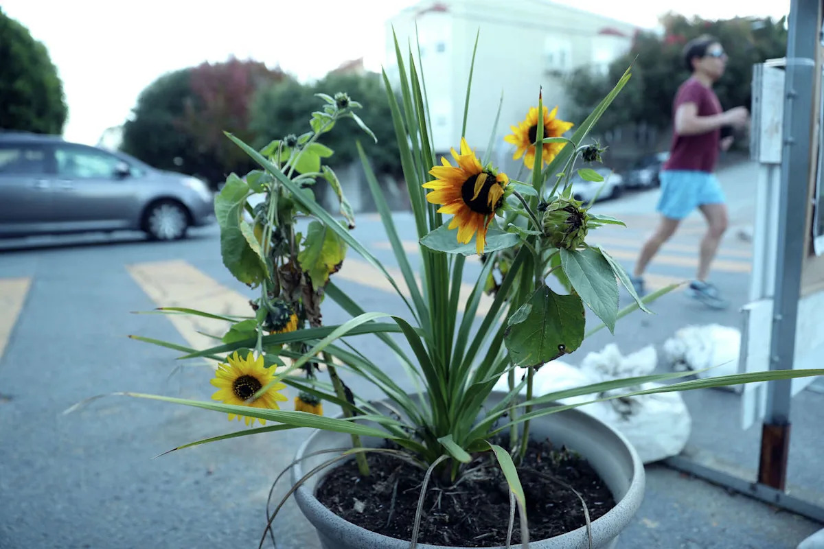 San Francisco's new ‘daylighting' plan lets groups put planters in no-parking zones