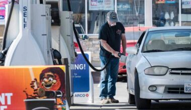Gas prices and a viral sand cat. Sacramento stories you may have missed this week
