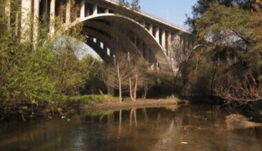 A Walk Along the Arroyo Seco Reveals Where the Region’s Water Goes – Pasadena Weekendr