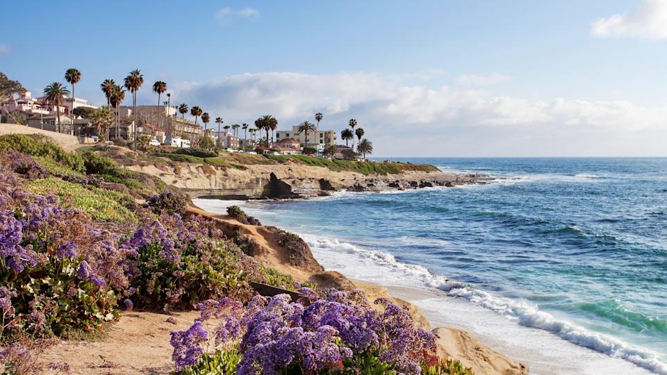 A scenic wide shot of the San Diego coastline on a sunny day. In the foreground, vibrant purple wildflowers and green foliage grow on a sandy cliffside overlooking the blue Pacific Ocean. On the elevated land further back, numerous homes and buildings with red-tiled roofs and palm trees line the coast. White-capped waves break on the shore, and a light blue sky with scattered white clouds fills the background.