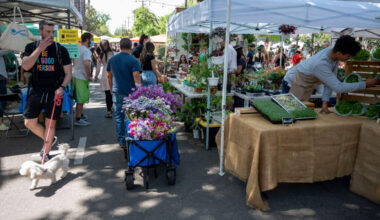 Sacramento’s Midtown Farmers Market offers broad mix of musical guests, more in June