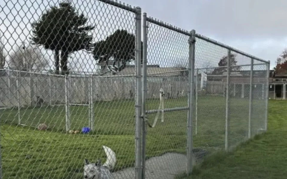 William Honsal, the sheriff said he was 'thinking worst-case scenario'