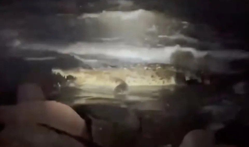 Grainy nighttime footage captured the huge reptile with its jaws open near Marriott Puerto Vallarta Resort & Spa after the deadly attack. NoticiasPV