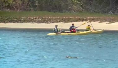 Experts urge beachgoers to avoid disturbing marine mammals on Central Coast
