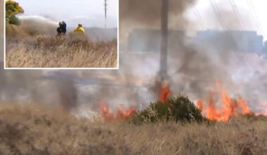 Sorrento Valley brush fire forces evacuations in San Diego
