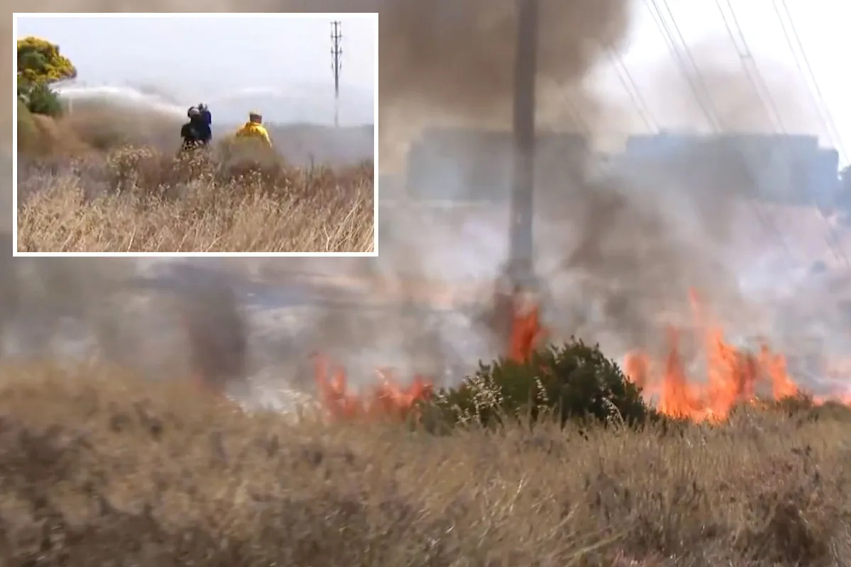 Sorrento Valley brush fire forces evacuations in San Diego