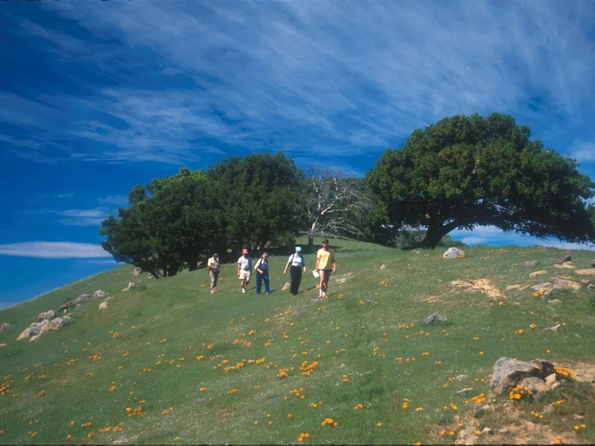 Rainbow Sierrans, the Sierra Club’s first LGBTQ hiking group, on 40 years of trekking together
