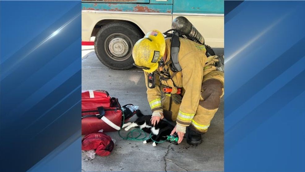 Photo: Bakersfield Fire Dept.