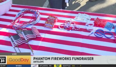 Fireworks Fundraiser - Good Day Sacramento
