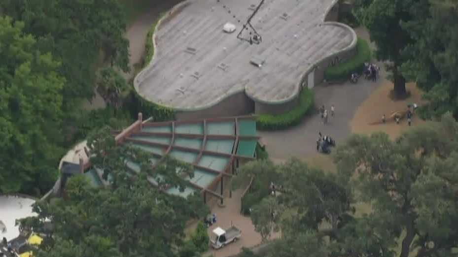 Sacramento Zoo hosting open house on expansion plans