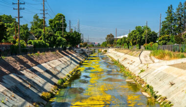 Half of California's water is contaminated with PFAS from pesticides, report warns
